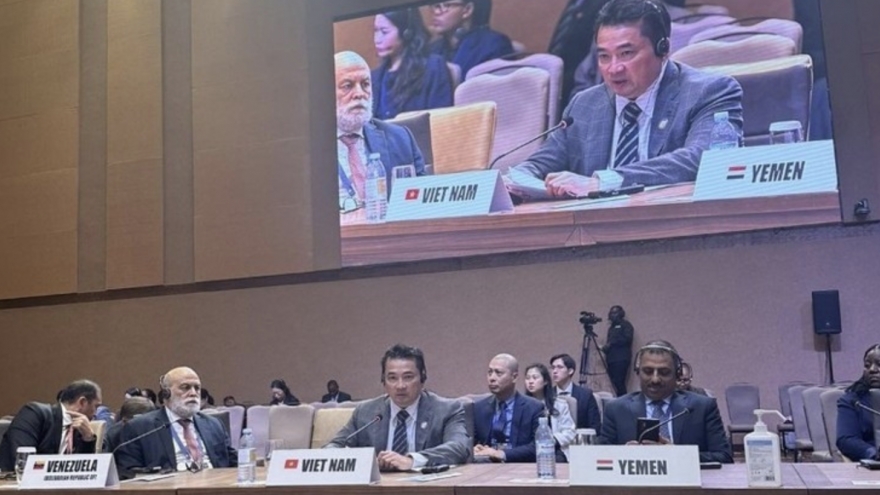 Vietnam backs Non-Aligned Movement members for common interests